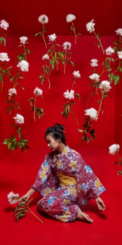 žánr souboru Opera